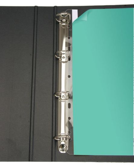 Billede af File-strips A4 295mm  (100)